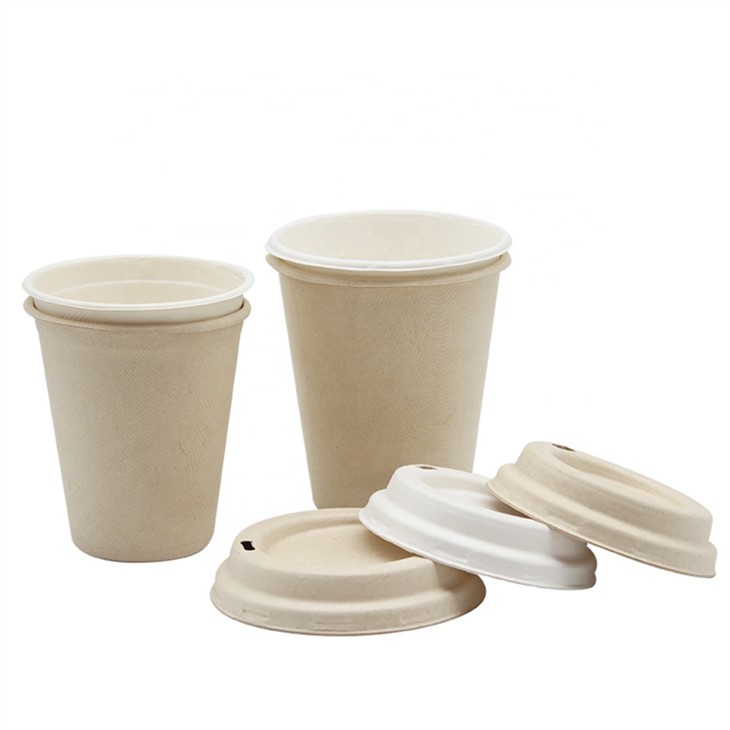 Compostable Biodegradable 100% Sugarcane Bagasse Pulp Molding Disposable Cups