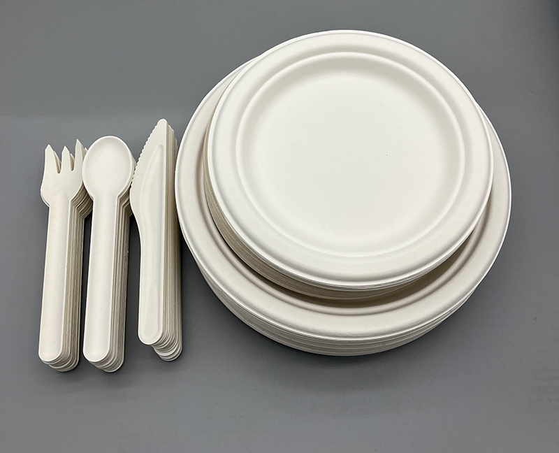 Eco Friendly home compostable sugarcane wedding plates