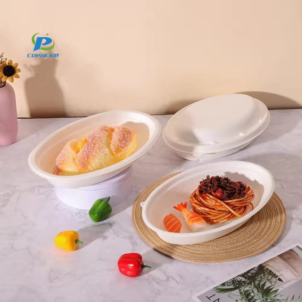 Biodegradable Non Plastic Sugarcane Bagasse Bowl