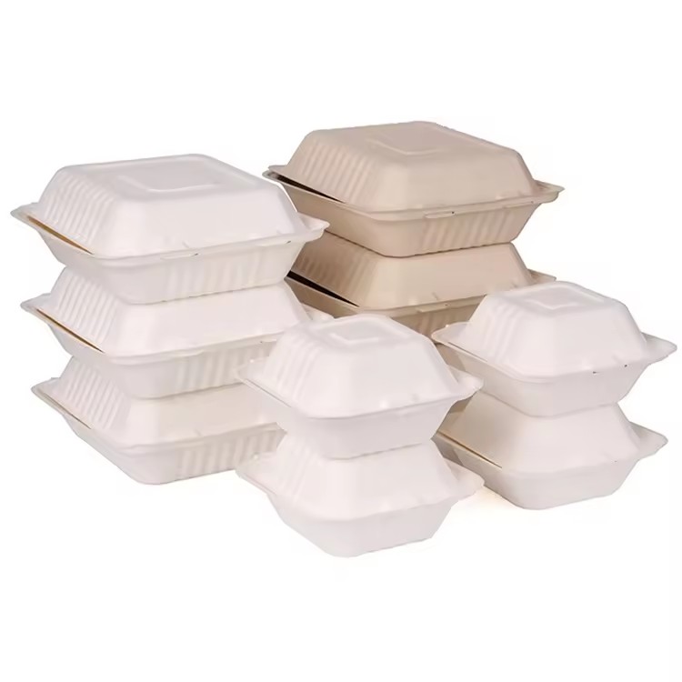 sugarcane pulp container 1 compartment bagasse food lunch box