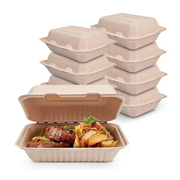 Biodegradable Takeaway Food Packaging Bento Meal Box Fast Food Takeout Sugarcane Pulp Lunch Paper Box