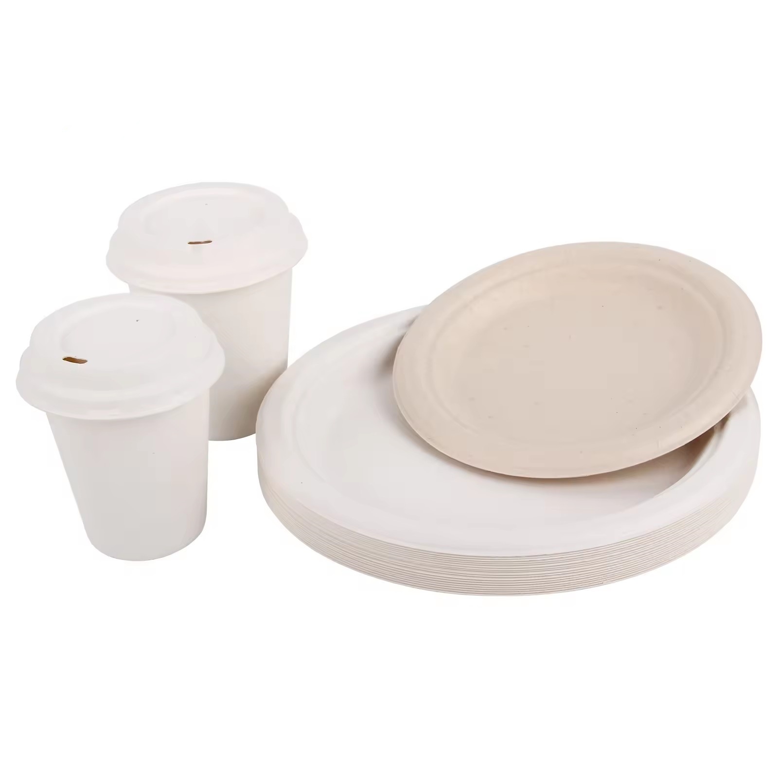 Disposable Sugarcane Compartment Bagasse Plate