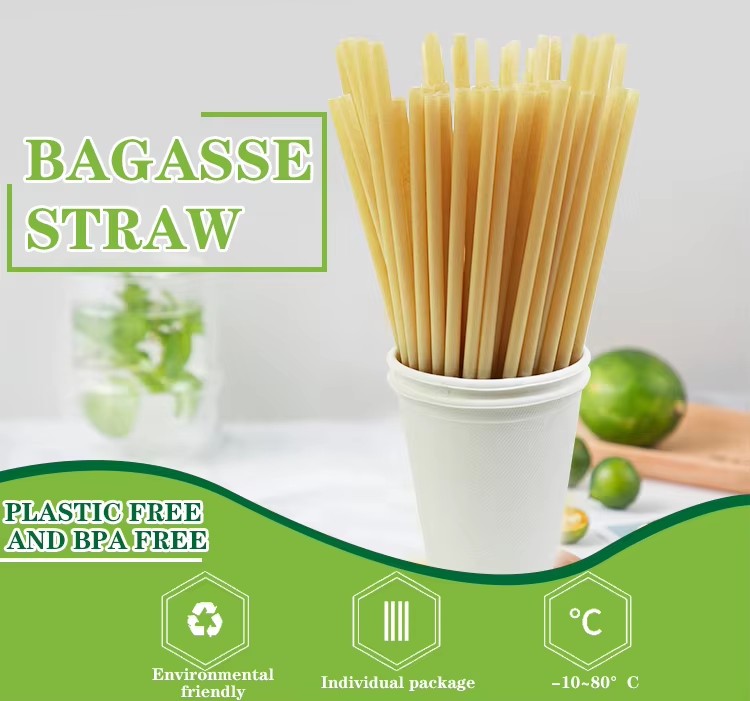 Custom Sugarcane Straws