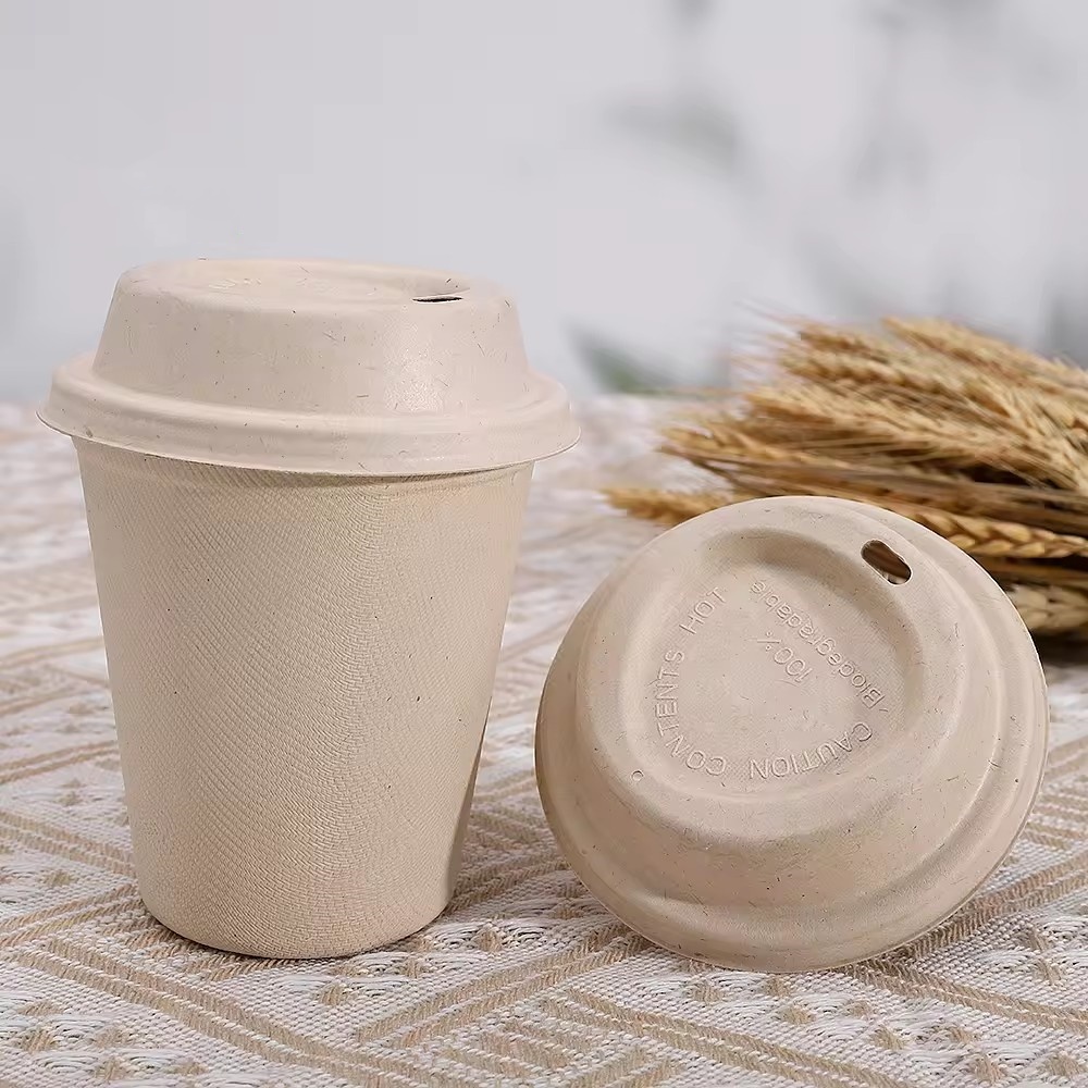 Wholesale Compostable Bagasse Cups
