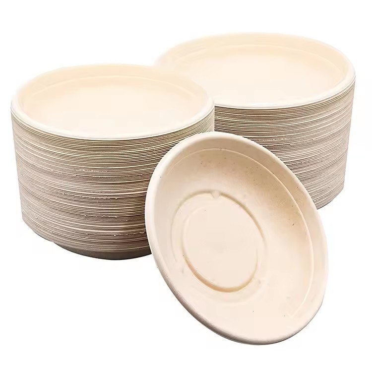 Disposable Sugarcane Bagasse Tableware for Festive Delights
