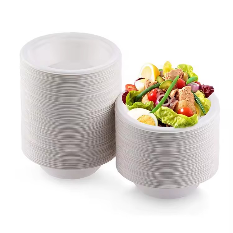 Biodegradable Disposable Sugarcane Bagasse Paper Pulp Soup Salad Bowl With Lid