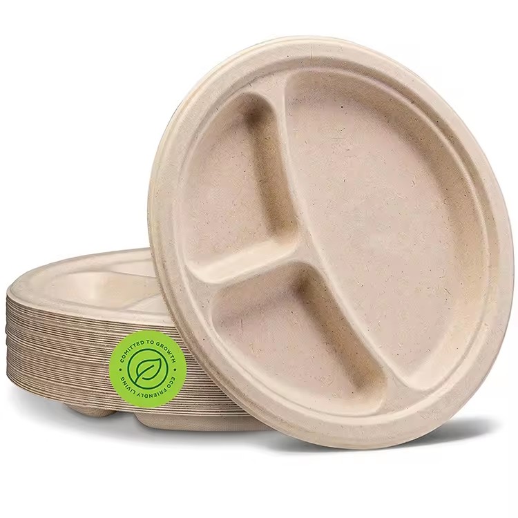 Eco-friendly compostable disposable sugarcane bagasse tableware