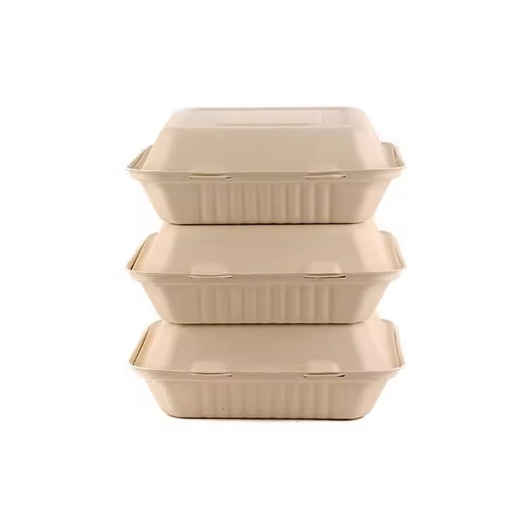 Sugarcane bagasse clamshell lunch box inch take away bio degradable food disposable container