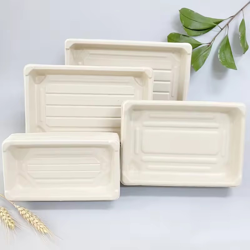 Biodegradable Food Trays for Birthday Parties